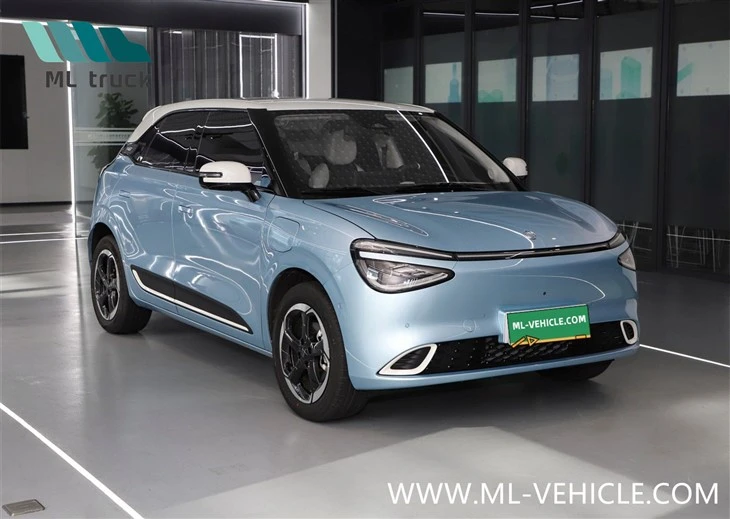 DongFeng Nammi 01