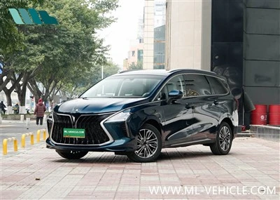 2024 DongFeng Forthing 1.5T DCT Yacht MPV